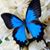 Crystal Prouty Warne's profile image