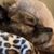 Kathryn Fish's profile image