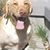 Sherry Soyke's profile image