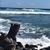 Stephanie Brancato Panzarino's profile image