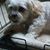 Zoe Moore's profile image
