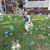 Lillian Ruiz's profile image