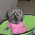 Joan Lewis Smith's profile image
