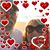 Shirley Hardesty's profile image