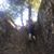 Deborah Dunlap's profile image