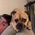 William Jusino's profile image