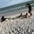Grace Valentina's profile image