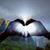 Cindy Sue Vollbracht's profile image