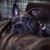 Kevin Felczak's profile image
