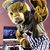 Mickey Mink's profile image