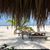 Steve Rector's profile image