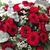 Lynda Whitehead's profile image