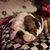 Terri Justice's profile image