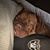 Randy Yarbrough's profile image