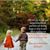 Nabeel Nabeel Shaikh's profile image
