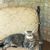 Arturo Chaves Bustamante's profile image