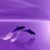 Jessica Hill's profile image
