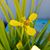 Christopher N Leilani Paul's profile image