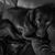 William Linzenmeyer's profile image
