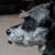 Kim Clark Hoffpauir's profile image