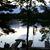 Jean Brown-Theisen's profile image