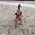 Chris Dresen's profile image