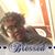 Tracye George's profile image
