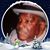 Larrence R. Perry's profile image