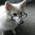 Lorie Hartley's profile image