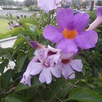 Jo Ann's profile image