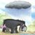 Tammy Siens Tallant's profile image