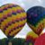 Sandy York Rivard's profile image
