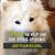 Kristie Engebretson Anderson's profile image