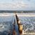 Audrey Wilbourn's profile image