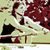 Ronnie Kristine Blackwell's profile image