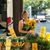 Suzanne Wilson Crable's profile image