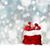 Donna-lee Hamilton Borovansky's profile image