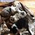 Michelle Mosher's profile image