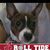 Tricia Green's profile image