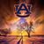 TommyTina Hamby's profile image