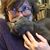 Cathy Watt's profile image