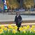 Victoria Skelton's profile image