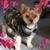 Debbie Baker's profile image