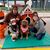Shawna Heminger Newkirk's profile image