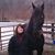 Beverly Ashcraft's profile image
