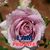 Rosemary Yancey's profile image
