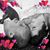 Melissa J. Coone's profile image