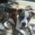 Jamie Mckinney's profile image