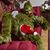 Todd Lewis's profile image