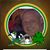 Joseph Cleary's profile image
